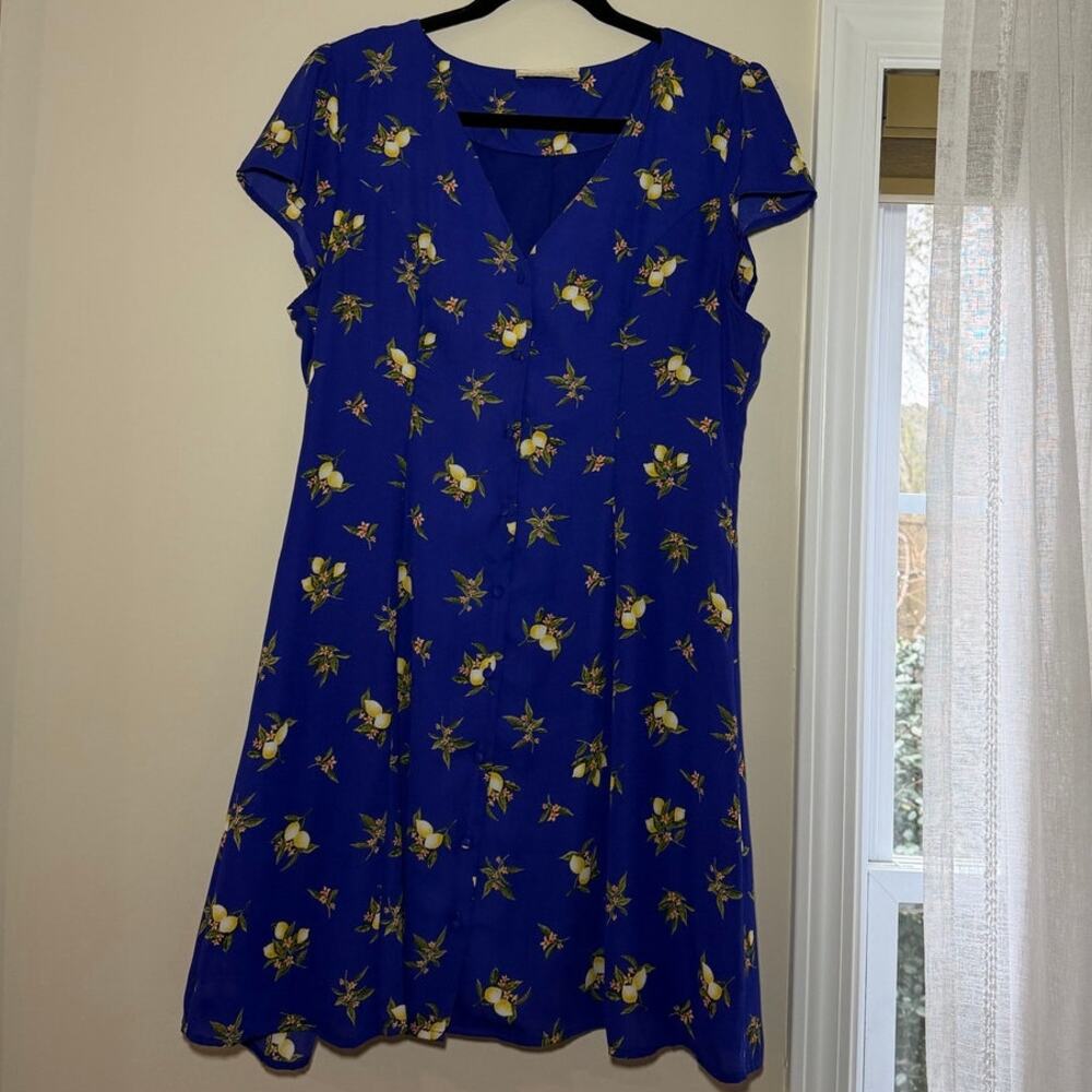 Blue Lemon Dress Size Large Button Up